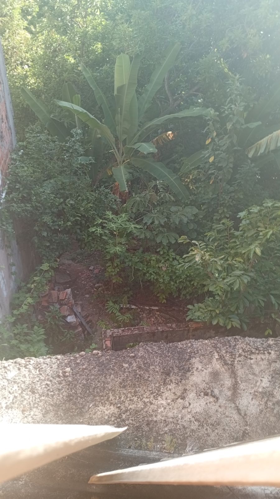 Terreno - Venda - Vila Can�ria - Salvador - BA