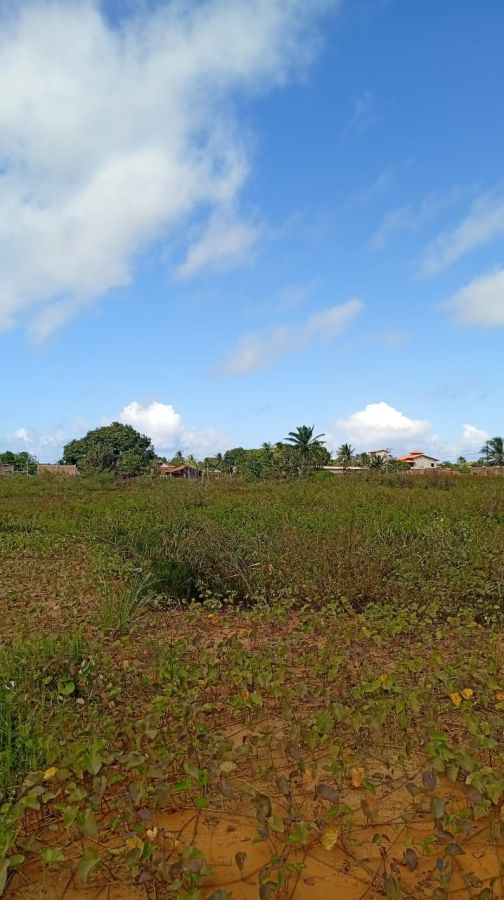 Terreno - Venda - Concei��o - Vera Cruz - BA